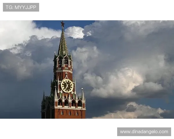 新普京官方旗舰店官网最新优惠活动信息,实时更新让你享受更多实惠折扣