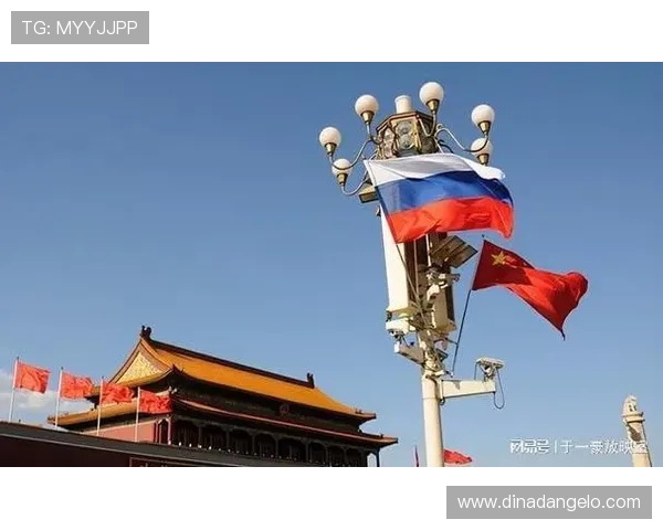 新普京手机大厅下载.org提供多种下载渠道保障用户快速获取最新应用程序