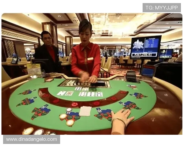 澳门新濠登录娱乐平台最新优惠活动，丰富奖励助你轻松赢取丰厚奖金