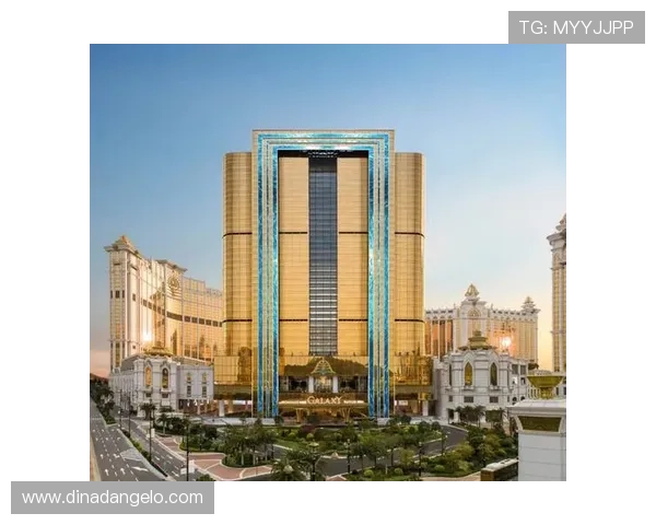 澳门贵宾厅的特色服务项目,打造专属尊贵体验的完美空间 澳门贵宾厅的特色服务项目,打造专属尊贵体验的完美空间