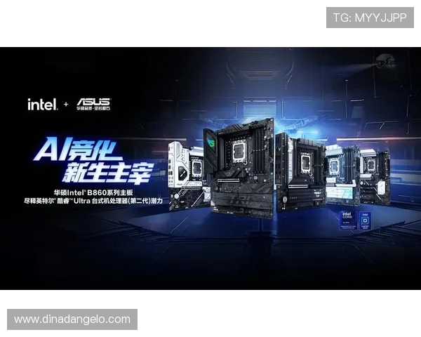 了解维多利亚国际的客户服务体系与专业支持为玩家提供贴心保障